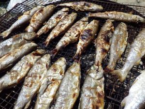 130814ニジマス塩焼きアップ