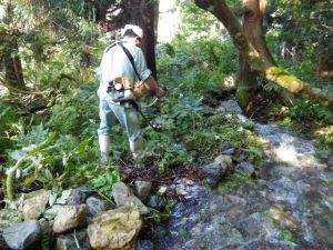 131006柄沢用水路